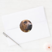 Rhodesian Ridgeback Stickers (Umschlag)