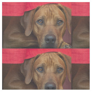rhodesian-ridgeback stoff