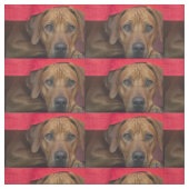 rhodesian-ridgeback stoff (Muster)