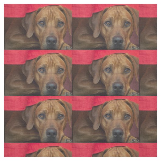 rhodesian-ridgeback stoff (Muster)