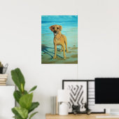 Rhodesian Ridgeback "Tony" lächelt Poster (Heimbüro)