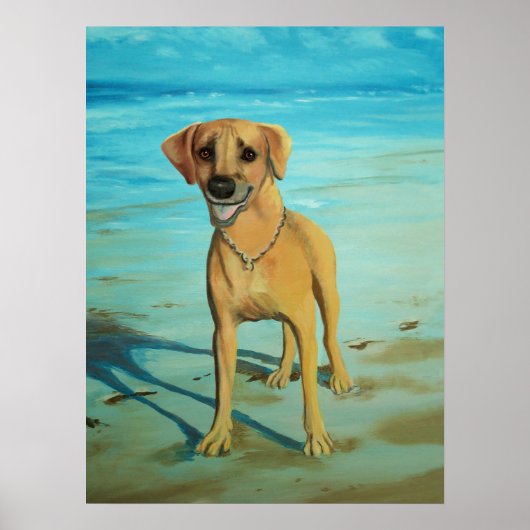 Rhodesian Ridgeback "Tony" lächelt Poster (Vorne)