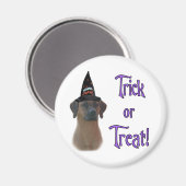 Rhodesian Ridgeback Trick Magnet (Vorderseite/Rückseite)