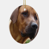 Rhodesian Ridgeback Verzierung Keramik Ornament (Rechts)