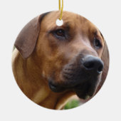 Rhodesian Ridgeback Verzierung Keramik Ornament (Vorne)