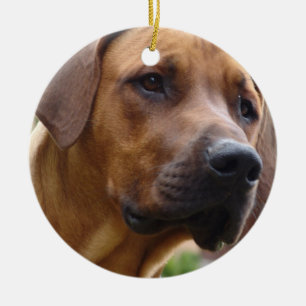 Rhodesian Ridgeback Verzierung Keramik Ornament