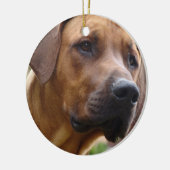 Rhodesian Ridgeback Verzierung Keramik Ornament (Links)