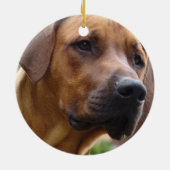 Rhodesian Ridgeback Verzierung Keramik Ornament (Hinten)