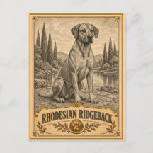 Rhodesian Ridgeback, Vintage Heritage Hund