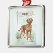Rhodesian Ridgeback Watercolor Personalized Dog Ornament Aus Metall (Links)
