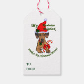 Rhodesian Ridgeback Weihnachten Geschenkanhänger (Vorderseite)