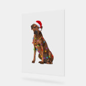 Rhodesian Ridgeback Weihnachtsbeleuchtung Xmas Hun Acrylschild (Winkel)