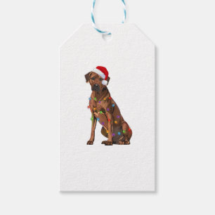 Rhodesian Ridgeback Weihnachtsbeleuchtung Xmas Hun Geschenkanhänger