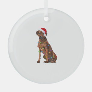 Rhodesian Ridgeback Weihnachtsbeleuchtung Xmas Hun Ornament Aus Glas