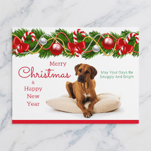 Rhodesian Ridgeback Weihnachtspostkarte Feiertagspostkarte