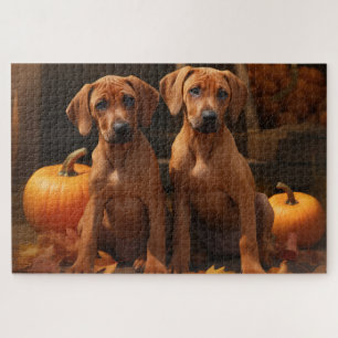 Rhodesian Ridgeback Welpe Herbstfreude Kürbis Puzzle