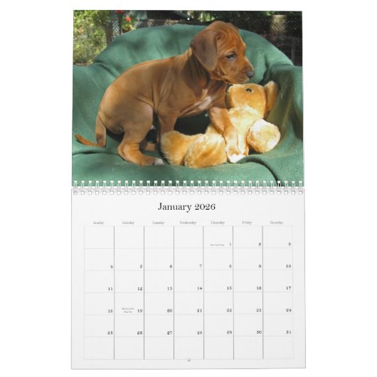 Rhodesian Ridgeback Welpen 2012 Kalender (Jan 2026)