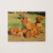 Rhodesian Ridgeback Welpenpuzzlespiel Puzzle (Horizontal)