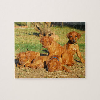 Rhodesian Ridgeback Welpenpuzzlespiel Puzzle