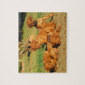 Rhodesian Ridgeback Welpenpuzzlespiel Puzzle (Vertikal)