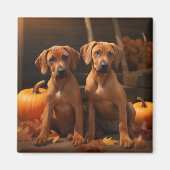 Rhodesian Ridgeback Welppy Autumn Delight Pumpkin Magnet (Vorne)