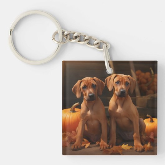 Rhodesian Ridgeback Welppy Autumn Delight Pumpkin Schlüsselanhänger (Vorderseite)