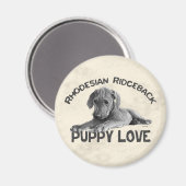 Rhodesian Ridgeback Zeichnend Magnet (Vorderseite/Rückseite)