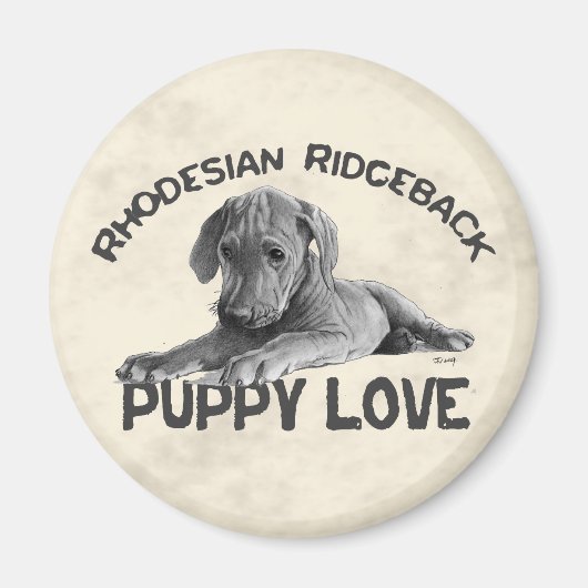 Rhodesian Ridgeback Zeichnend Magnet (Vorne)