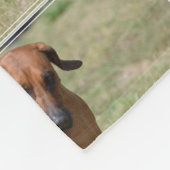 Rhodesian tänzelndes Ridgeback Fleecedecke (Ecke)