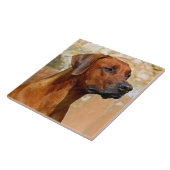 Rhodesien Fliese (Seite)