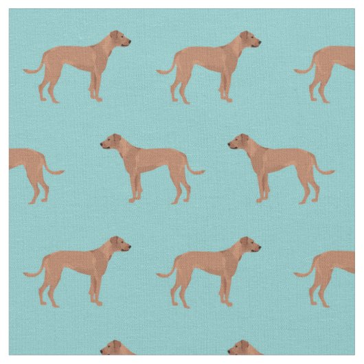 Rhodesier Rassack Hund Blau Stoff (Nahaufnahme)