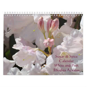 Rhodies Azaleas Kalender Zucker und Gewürze Rosa W