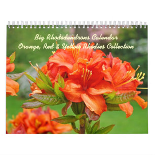 Rhodies Kalender Rhododendren Rot Orange Gelb