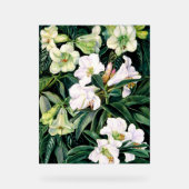 Rhododendren Acrylschild (Vorderseite)