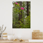 Rhododendren blühen mit Coast Redwood Trees Poster (Küche)