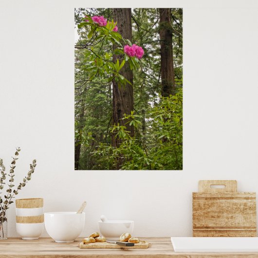 Rhododendren blühen mit Coast Redwood Trees Poster (Küche)