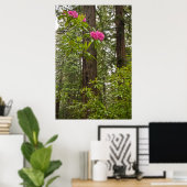 Rhododendren blühen mit Coast Redwood Trees Poster (Heimbüro)
