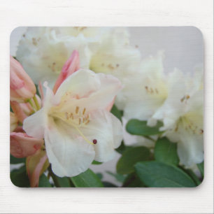 RHODODENDREN Blumen MAUSPAD MAUSPAD