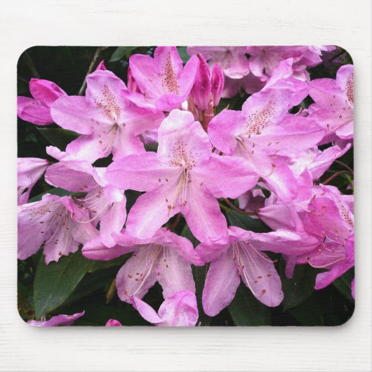 Rhododendren III Mousepad (Vorne)