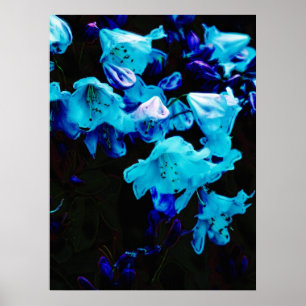 Rhododendren in Blau, Blumen, Blauen Blumen Poster