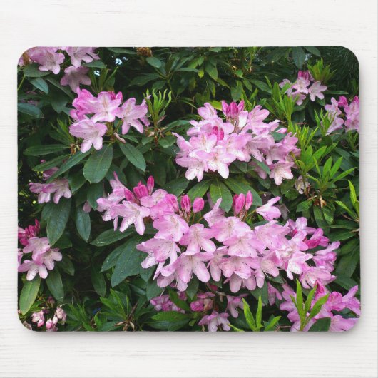 Rhododendren IV Mousepad (Vorne)
