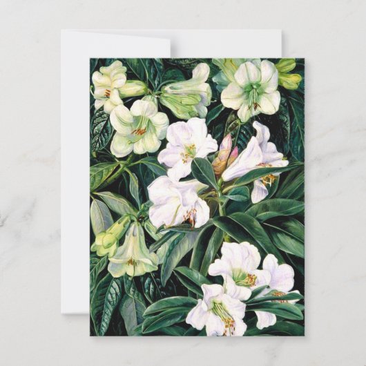 Rhododendren Karte (Vorderseite)