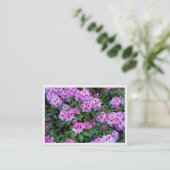 Rhododendren, Mini-Fotokarte Visitenkarte (Stehend Vorderseite)