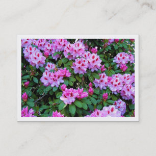 Rhododendren, Mini-Fotokarte Visitenkarte