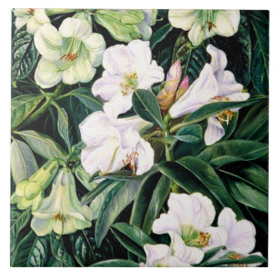 Rhododendren Nordindiens Fliese