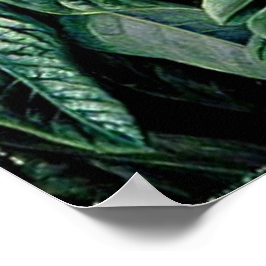 Rhododendren Poster (Ecke)