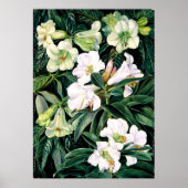 Rhododendren Poster (Vorne)