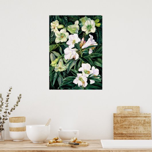 Rhododendren Poster (Küche)