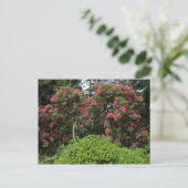 Rhododendren Postkarte (Stehend Vorderseite)