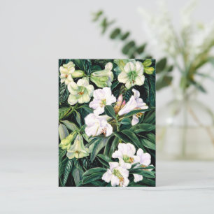 Rhododendren Postkarte
